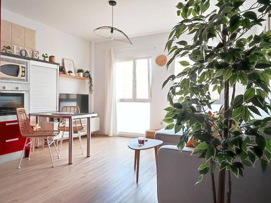 Vacational Dreams Apartment Санта Крус де Тенерифе Екстериор снимка